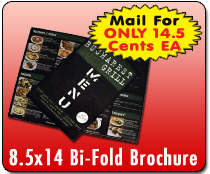 8.5x14 Folded Brochure Direct Mail